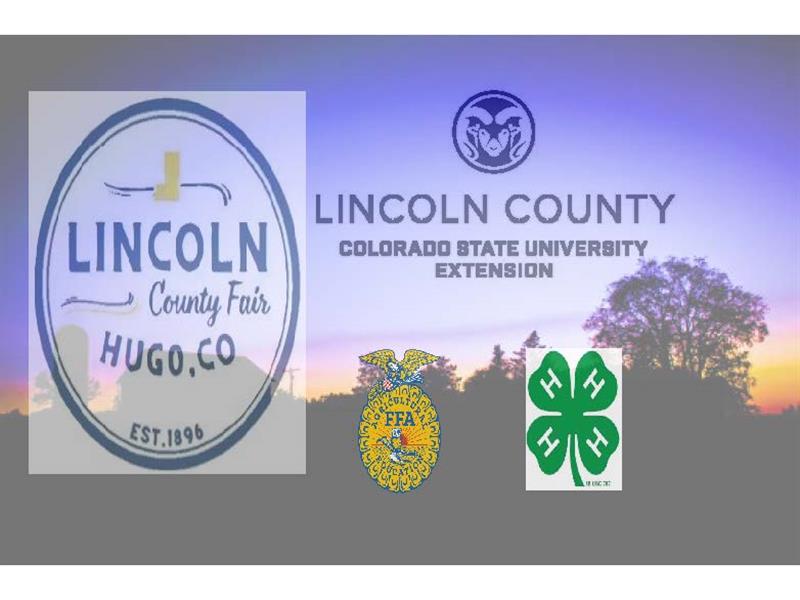 Fair Logo